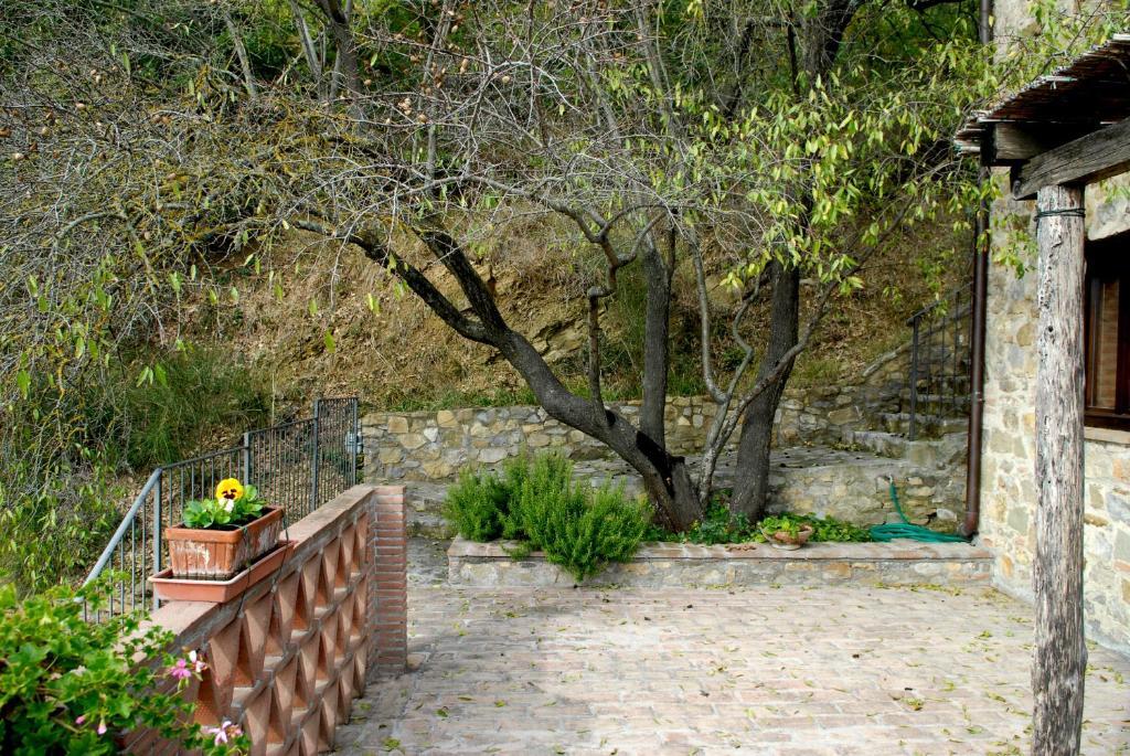 Podere Monte Petreto San Savino  Rum bild
