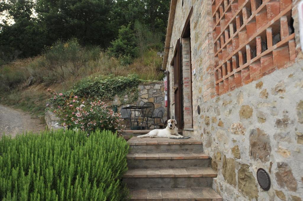 Podere Monte Petreto San Savino  Rum bild