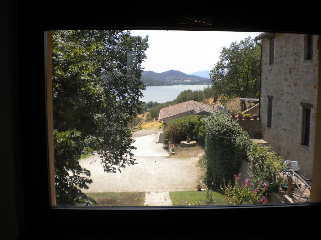 Podere Monte Petreto San Savino  Rum bild